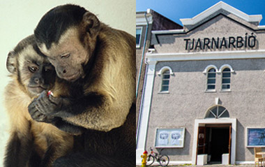 Heimildarmynd - Tjarnarbíó