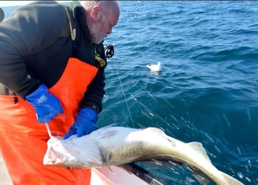 ARTHÚR BOGASON UM KVÓTANN OG FRAMTÍÐINA