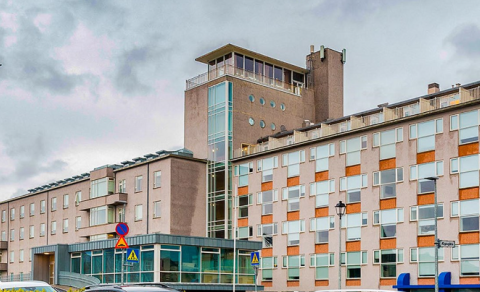 LÖG, STÉTTARFÉLÖG OG VANHÆFIR STJÓRNENDUR